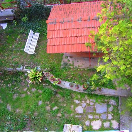 Villa Sofia Limenaria  Dış mekan fotoğraf